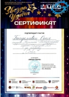 diplom-hud-12